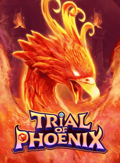 Live Dragon Tiger game cover